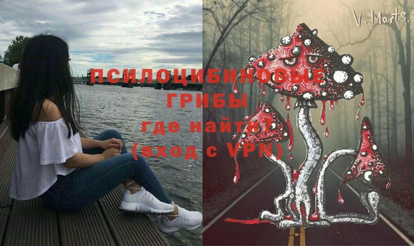 ПСИЛОЦИБИНОВЫЕ ГРИБЫ Баксан