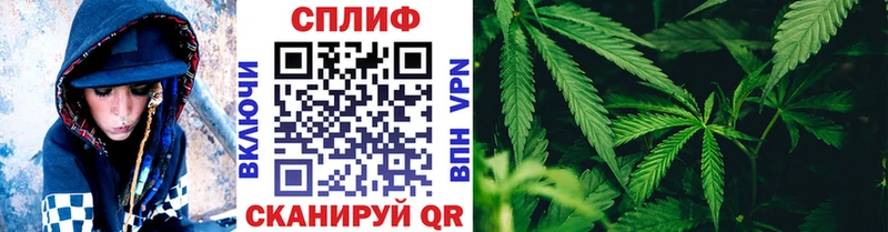 Конопля семена Павловская